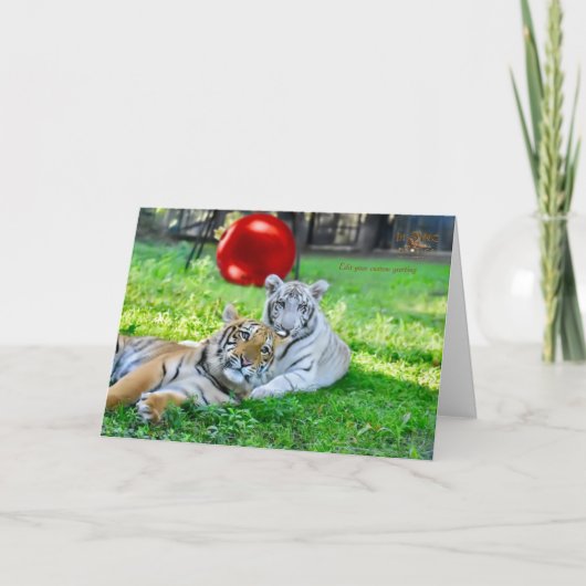 Cartes Pour Fêtes Annuelles Petits garçons Noël (Devant)