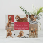 Cartes Pour Fêtes Annuelles Pet's Year in Review Red Photo Collage (Debout devant)