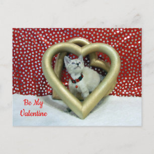 Cartes Pour Fêtes Annuelles Phoenix's Love - Chat / Kitten Valentine Postcard
