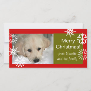 Cartes Pour Fêtes Annuelles Photo Cards de Snowflakes Dog Merry Christmas