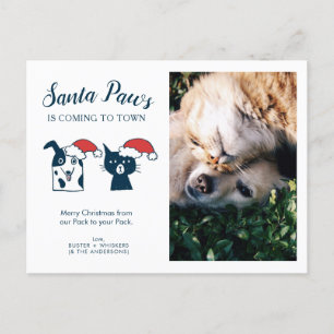 Cartes Pour Fêtes Annuelles Photo d'animal   Père Noël Paws   Chat Dog Christm
