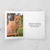 Cartes Pour Fêtes Annuelles Photo de chat de Noël (Intérieur)