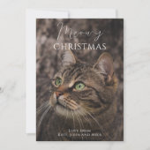 Cartes Pour Fêtes Annuelles Photo de chat de Noël Meowy (Devant)