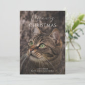 Cartes Pour Fêtes Annuelles Photo de chat de Noël Meowy (Debout devant)