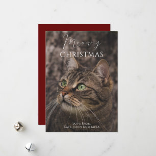 Cartes Pour Fêtes Annuelles Photo de chat de Noël Meowy