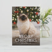 Cartes Pour Fêtes Annuelles Photo de chat de Noël Meowy (Debout devant)
