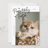 Cartes Pour Fêtes Annuelles Photo de chat festif de façon pédestre Noël blanc (Devant)