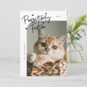 Cartes Pour Fêtes Annuelles Photo de chat festif de façon pédestre Noël blanc (Debout devant)