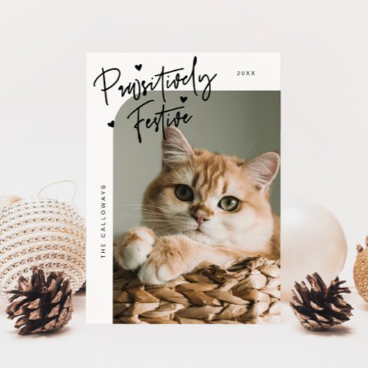 Cartes Pour Fêtes Annuelles Photo de chat festif de façon pédestre Noël blanc
