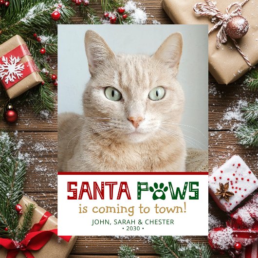 Cartes Pour Fêtes Annuelles Photo de chat père Noël Paws