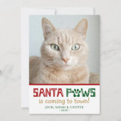 Cartes Pour Fêtes Annuelles Photo de chat père Noël Paws (Devant)