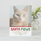 Cartes Pour Fêtes Annuelles Photo de chat père Noël Paws (Debout devant)