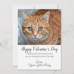Cartes Pour Fêtes Annuelles Photo de chat personnalisée de la Saint-Valentin
