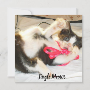 Cartes Pour Fêtes Annuelles Photo de chaton texte jingle Meows, Personnaliser,