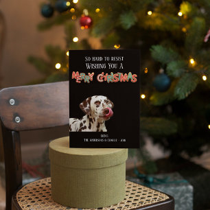 Cartes Pour Fêtes Annuelles Photo de chien amusant Biscuit de Noël