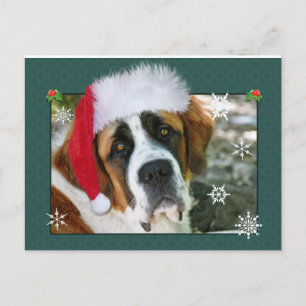 Cartes Pour Fêtes Annuelles Photo de chien de St Bernard de Noël