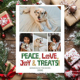 Cartes Pour Fêtes Annuelles Photo de chien drôle