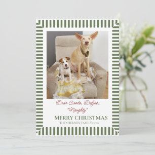 Cartes Pour Fêtes Annuelles Photo de chien drôle de Noël