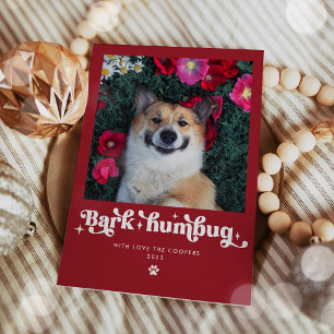 Cartes Pour Fêtes Annuelles Photo de chien drôle de Noël Bark Humbug