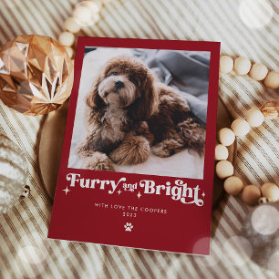 Cartes Pour Fêtes Annuelles Photo de chien drôle et brillant pour Noël