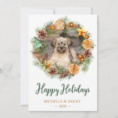 Cartes Pour Fêtes Annuelles Photo de chien Fer de Noël (Devant)