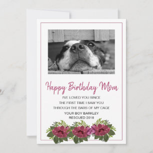 Cartes Pour Fêtes Annuelles Photo de chien Joyeux Anniversaire Maman de Secour