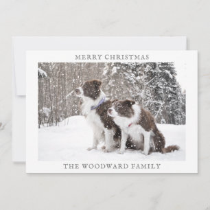 Cartes Pour Fêtes Annuelles Photo de chien Neige Noël Vacances