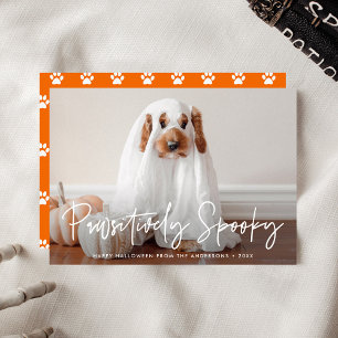Cartes Pour Fêtes Annuelles Photo de chien ou chat d'Halloween absolument effr