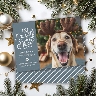 Cartes Pour Fêtes Annuelles Photo de chien ou chat mignon et drôle pour Noël