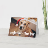 Cartes Pour Fêtes Annuelles Photo de chien Rouge Libérez la Joie (Devant)