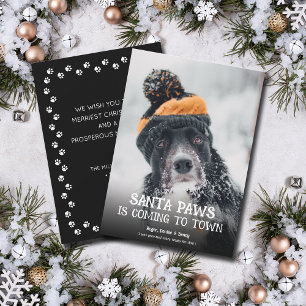 Cartes Pour Fêtes Annuelles Photo de chien Santa Paws Noël