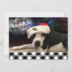 Cartes Pour Fêtes Annuelles Photo de chien YAPPY HOWLIDAYS Vérification de