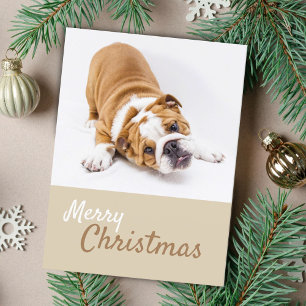 Cartes Pour Fêtes Annuelles Photo de chiot bouledogue anglais à Noël personnal
