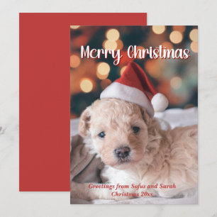 Cartes Pour Fêtes Annuelles Photo de chiot Joyeux Noël