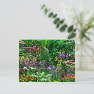 Cartes Pour Fêtes Annuelles Photo de fleurs d'été dans un jardin de cottage an