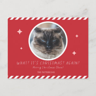Cartes Pour Fêtes Annuelles Photo de Grumpy Cat nom de famille rouge Noël drôl