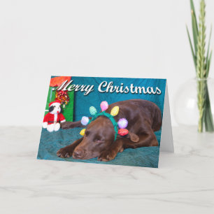 Cartes Pour Fêtes Annuelles Photo de Labradoodle en costume avec texte personn