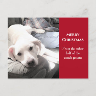 Cartes Pour Fêtes Annuelles Photo de mignon chien blanc avec papa rouge Noël