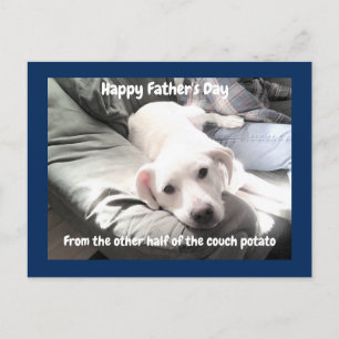 Cartes Pour Fêtes Annuelles Photo de mignon chien blanc fatigué accroché avec 