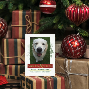 Cartes Pour Fêtes Annuelles Photo de Noël d'animal de compagnie