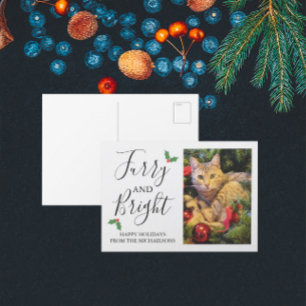 Cartes Pour Fêtes Annuelles Photo de Noël d'animaux de compagnie duveteux et l