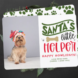 Cartes Pour Fêtes Annuelles Photo de Noël de chien personnalisée