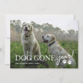 Cartes Pour Fêtes Annuelles Photo de Noël de la famille "Année de chien dispar (Devant)