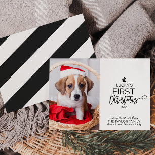 Cartes Pour Fêtes Annuelles Photo de Noël de l'animal de compagnie