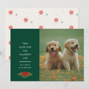 Cartes Pour Fêtes Annuelles Photo de Noël de l'animal de compagnie avec une ph
