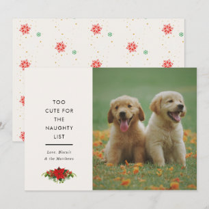 Cartes Pour Fêtes Annuelles Photo de Noël de petit animal mignon avec citation