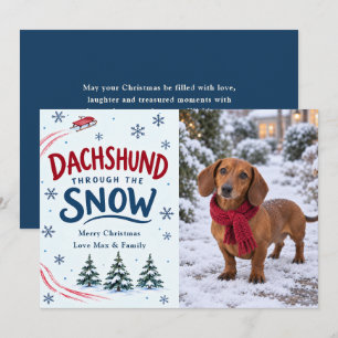 Cartes Pour Fêtes Annuelles Photo de Noël de teckel à travers la neige