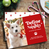 Photo de Noël drôle d'animal de compagnie Définir