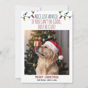 Cartes Pour Fêtes Annuelles Photo de Noël drôle de chien avec des noms personn
