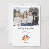 Cartes Pour Fêtes Annuelles Photo de Noël Green White (Dos)